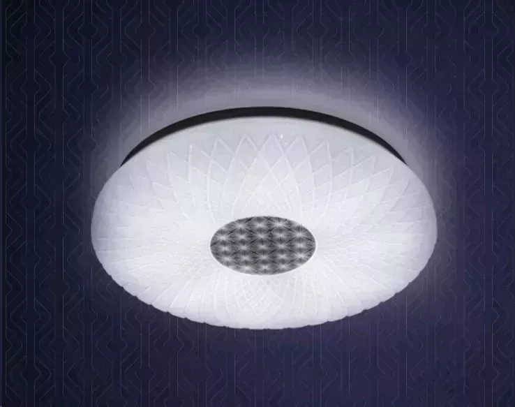 Потолочный светильник RITTER 52314 7 "STAR" 72W