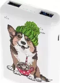 Зарядное устройство RITMIX RPB-10007 Corgi
