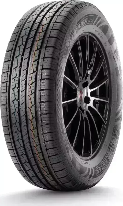 Шина ДаблСтар DS01 215/70/R16 100 T