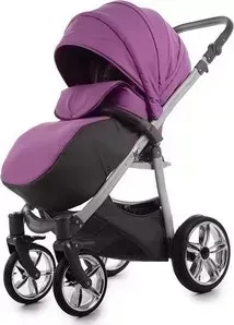 Коляска 2 в 1 TAKO 2 в 1 V-Road 04 фиолетовая (00-00000076)