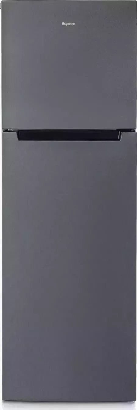 Холодильник БИРЮСА W6039