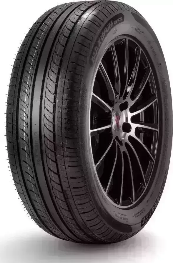Шина ДаблСтар DH05 195/65/R15 91 V