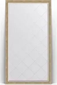 Зеркало Evoform с Exclusive-G Floor 108x198 см, в багетной раме - состаренное серебро с плетением 70 мм (BY 6342)