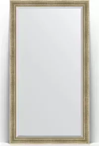 Зеркало Evoform с Exclusive Floor 112x202 см, в багетной раме - серебряный акведук 93 мм (BY 6161)