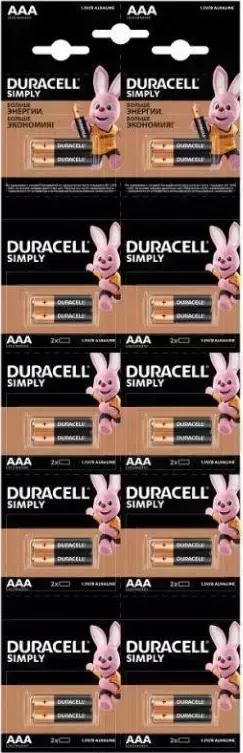 Батарейки DURACELL LR03-2BL BASIC 2*10 (Б0051816)