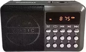 Часы настольные SOUNDMAX SM-RD2127(тёмный титан)