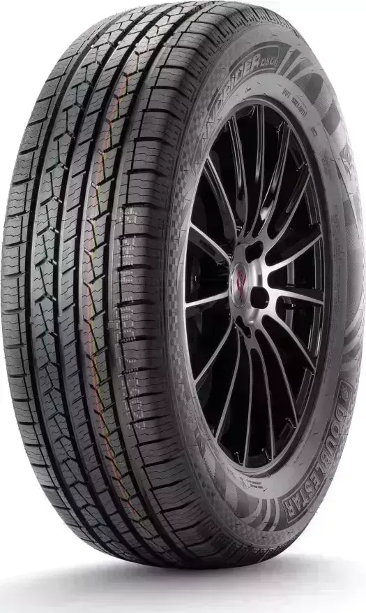 Шина ДаблСтар DS01 XL XL 215/60/R17 100 H