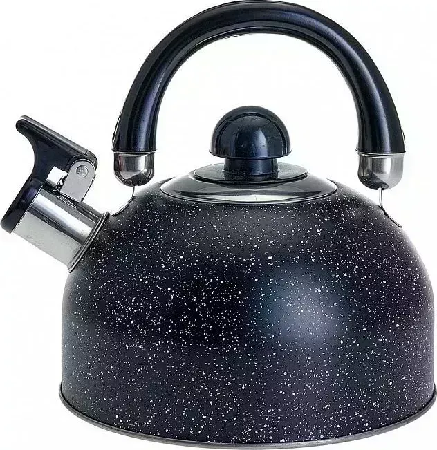 Чайник WEBBER BE-0539 2,5л нерж
