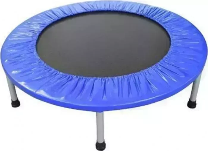 Батут Капризун без ручки 120 см синий (AL-120-blue)