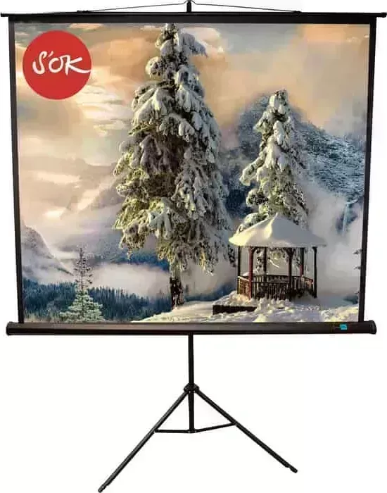 Экран для проектора S&amp;#039;OK S'OK 200x200 TriScreen 1:1 111'' Black (SCPST-200x200BLCK)