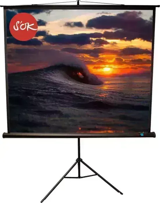 Экран для проектора S&amp;#039;OK S'OK 180x180 TriScreen 1:1 100'' (SCPST-180x180BLCK)