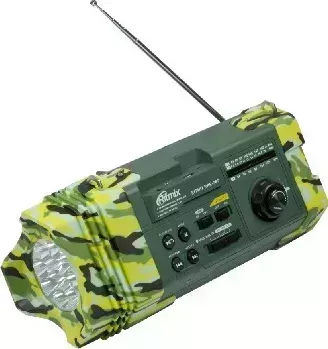 RITMIX RPR-707