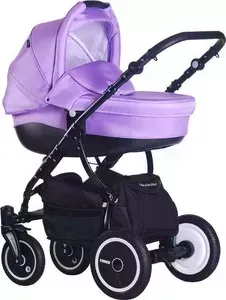 Коляска 2 в 1 LONEX 2 в 1 Speedy Sweet Baby (SB-06)