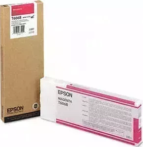 Картридж Epson Stylus Pro 4800 (C13T606B00)