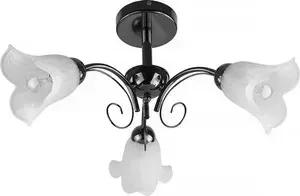 Потолочная люстра Toplight TL3490X-03BC