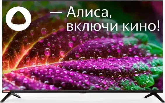 Телевизор STARWIND SW-LED40SG300 черный