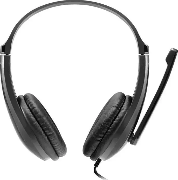 Гарнитура Canyon CHSU-1 basic PC headset with microphone, USB plug, leather pads, Flat cable length 2.0m, 160*60*160mm, 0.13k (CNS-CHSU1B)