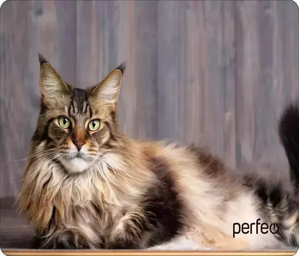 Коврик для мыши PERFEO (PF_D0642) "Cat" компьютерной