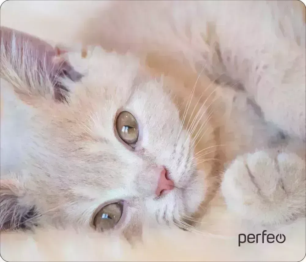 Коврик для мыши PERFEO (PF_D0641) "Cat" компьютерной