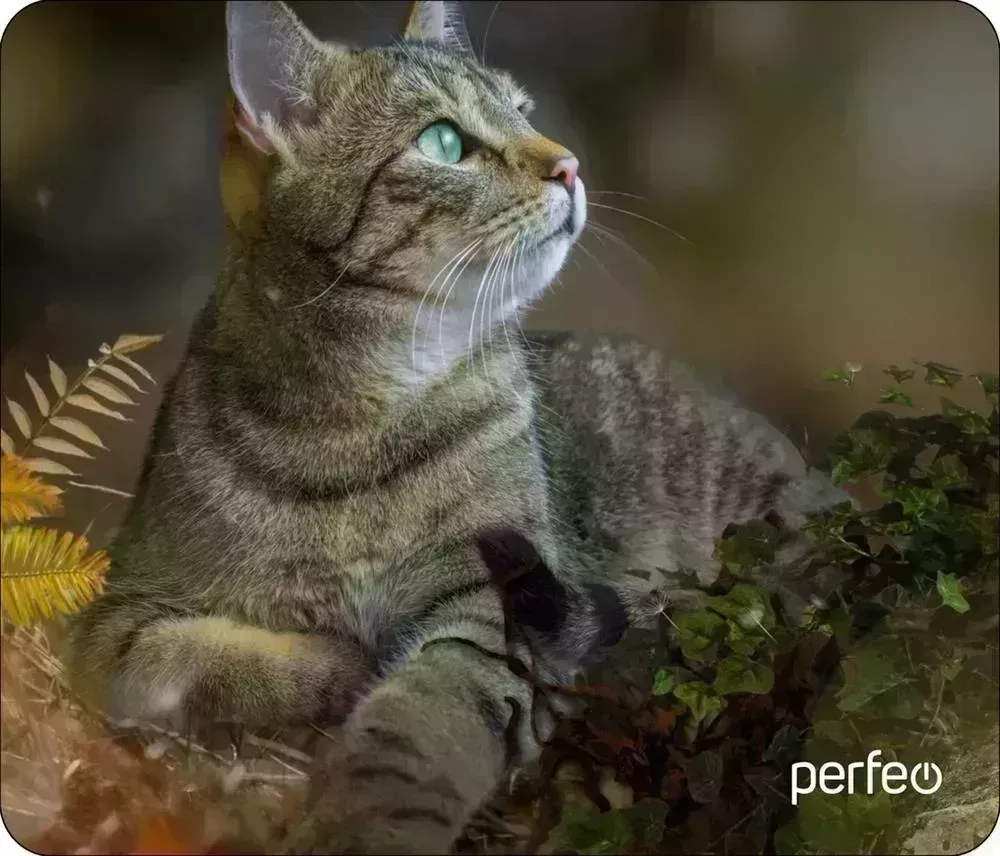 Коврик для мыши PERFEO (PF_D0671) "Cat" компьютерной