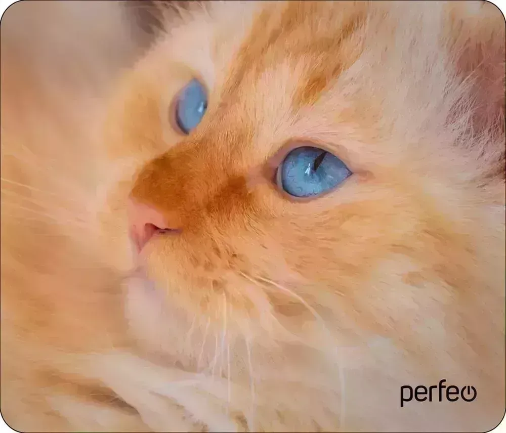 Коврик для мыши PERFEO (PF_D0667) "Cat" компьютерной