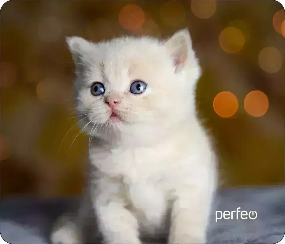 Коврик для мыши PERFEO (PF_D0658) "Cat" компьютерной