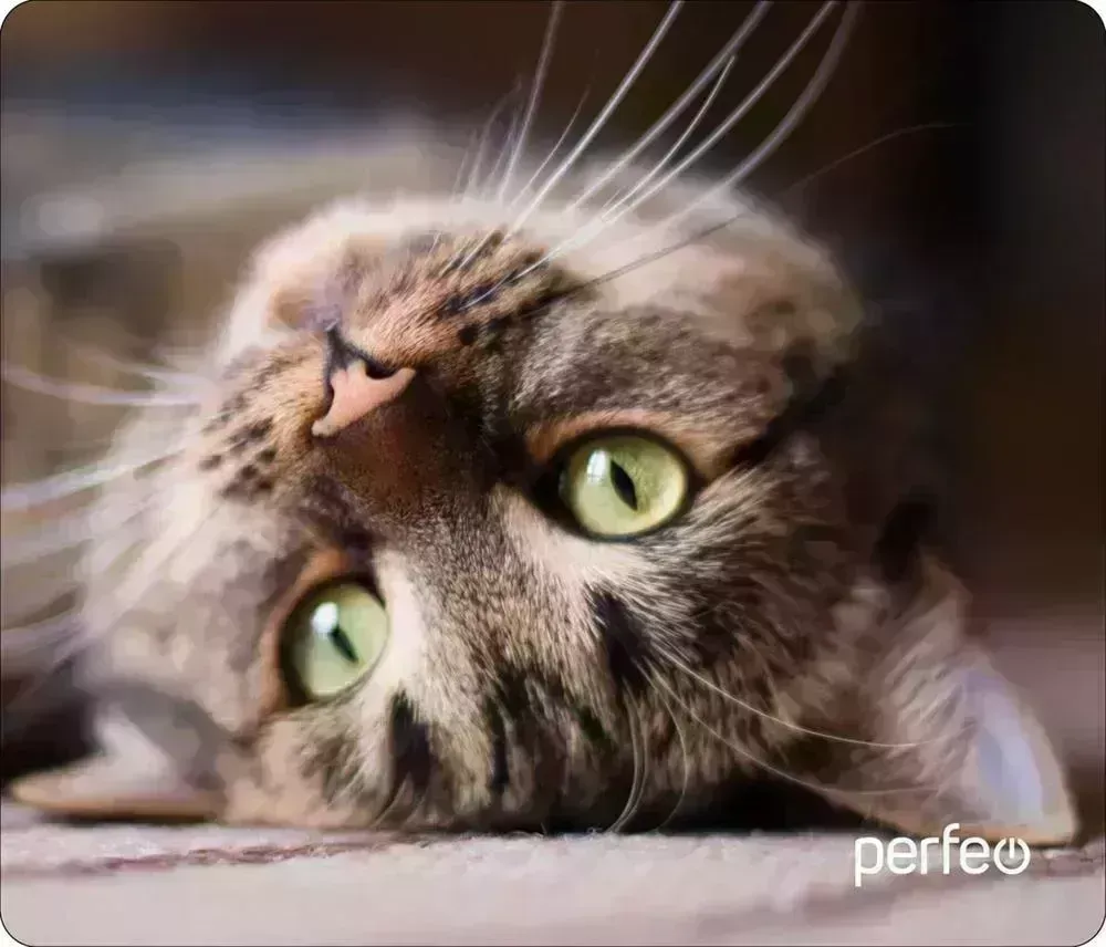 Коврик для мыши PERFEO (PF_D0653) "Cat" компьютерной
