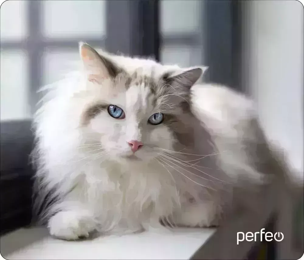 Коврик для мыши PERFEO (PF_D0638) "Cat" компьютерной