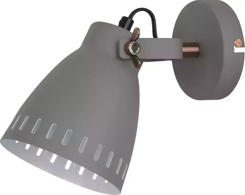 Светильник CAMELION (13058) WML-428-1 C08 Cерый