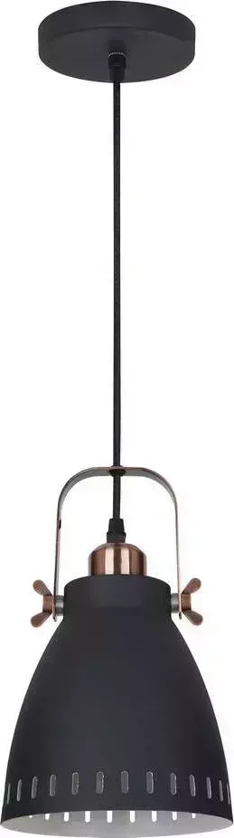 Светильник CAMELION (13075) PL-428S-1 C62 черный + медь