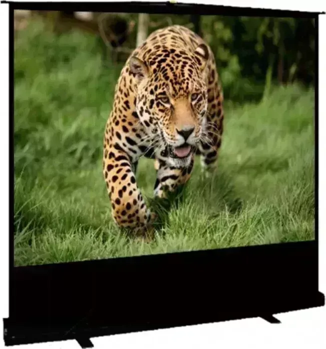 Экран для проектора S&amp;#039;OK S'OK Cinema S'OK SCPSF-91x122 60'' 4:3 переносной, напольный, ручной, черный корпус