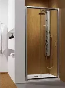 Душевая дверь Radaway Premium Plus DWD 160x190 (33363-01-01N) стекло прозрачное