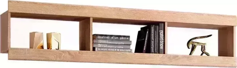 Полка Миф Терра