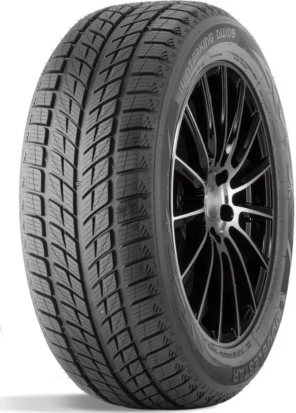 Шина ДаблСтар DW09 235/55/R17 99 T