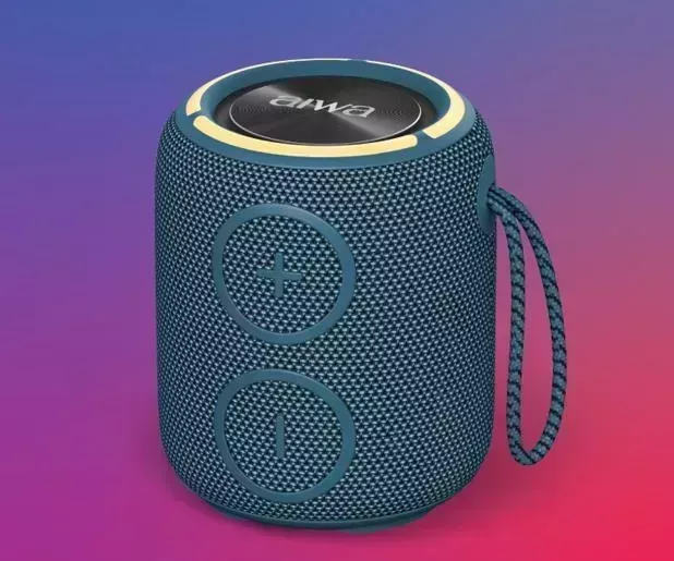 Акустика AIWA (19176) PAS-H100 dark blue