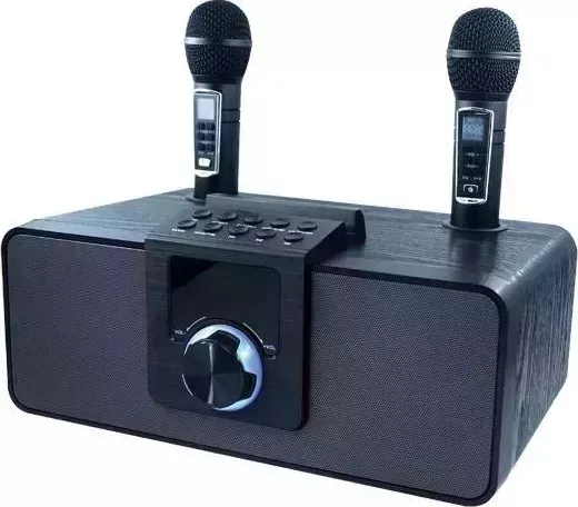 Портативная колонка RITMIX SP-660B черный