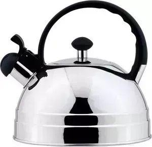 Чайник REGENT 2.5 л Tea (93-TEA-26)