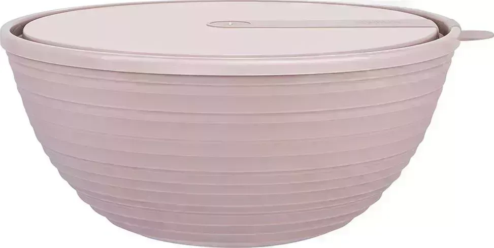 Салатник SUGAR&SPICE SE400511005 Cardamom с крышкой 4,1 л латте