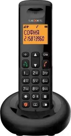 Радиотелефон TEXET TX-D4905A черный (127219)