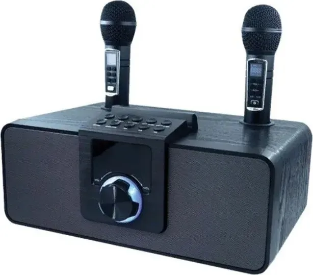 Портативная колонка Ritmix SP-660B black