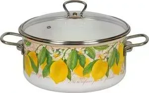 Кастрюля эмалированная VITROSS 5.0 л Limon (1SB245S)