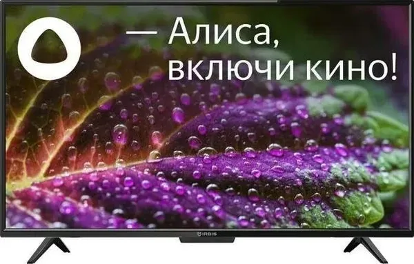 Телевизор IRBIS 39H1YDX173BS2