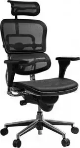 Кресло офисное Comfort Seating Group эргономичное EHS-HAM W09-01 ergohuman standart black