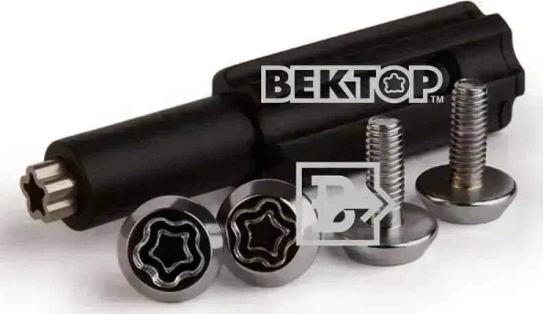 Секретки Вектор болт 6х1,00 L16 плоский на гос.номер [] //R