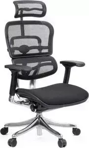 Кресло офисное Comfort Seating Group эргономичное EHPE-AB-HBM-F W09-01/A24337 ergohuman plus elite black (seat fabric)