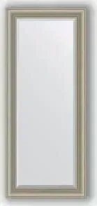 Зеркало Evoform с фацетом в багетной раме Exclusive 66x156 см, хамелеон 88 мм (BY 1285)