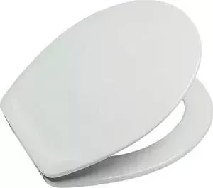 Сиденье с микролифтом ROCA Victoria быстросъёмное (ZRU9302818)
