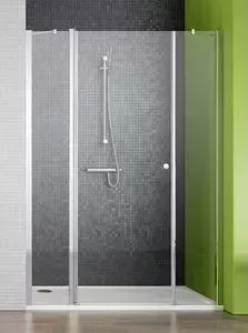 Душевая дверь Radaway EOS II DWJS/L 120x195 (3799454-01L) стекло прозрачное
