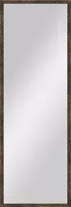 Зеркало Evoform в багетной раме Definite 48x138 см, витая бронза 26 мм (BY 1062)