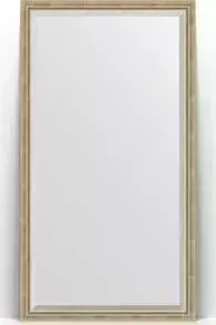 Зеркало Evoform с Exclusive Floor 108x198 см, в багетной раме - состаренное серебро с плетением 70 мм (BY 6142)
